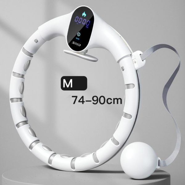 Smart Hoop, Detachable, Aggravating Adult Crash Hoop - Image 4