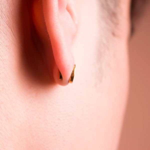 Quit Smoking Magnet Earrings Zerosmoke Auricular Therapy Magnet - Image 4